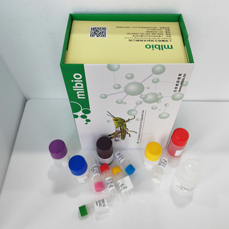 大鼠IX型膠原(Col IX)ELISA試劑盒 大鼠IX型膠原(Col IX)ELISA試劑盒