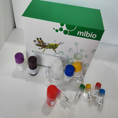 科研小鼠Elisa 科研小鼠Elisa