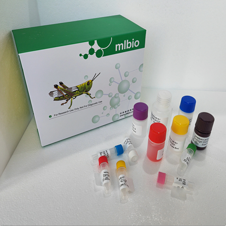 大鼠肌糖原（MG）ELISA 試劑盒